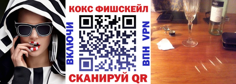 Cocaine Fish Scale  где купить наркотик  Нерчинск 