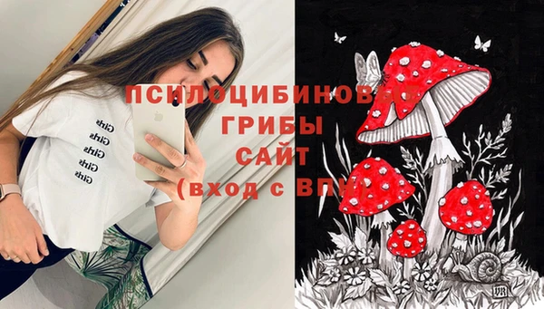 прущие грибы Михайловка