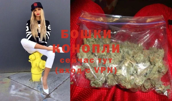 прущие грибы Михайловка