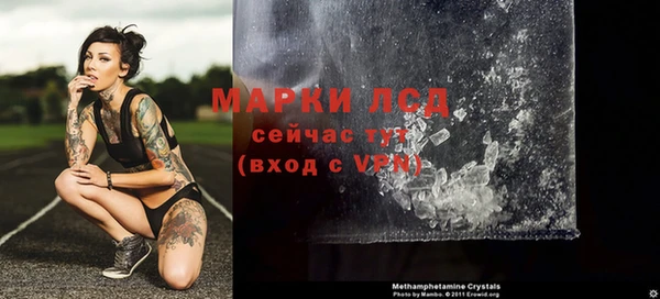 прущие грибы Михайловка