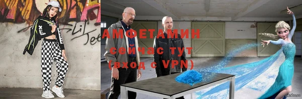 прущие грибы Михайловка